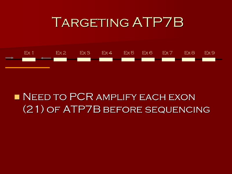 Targeting ATP7B Need to PCR amplify each exon (21) of ATP7B before sequencing Ex